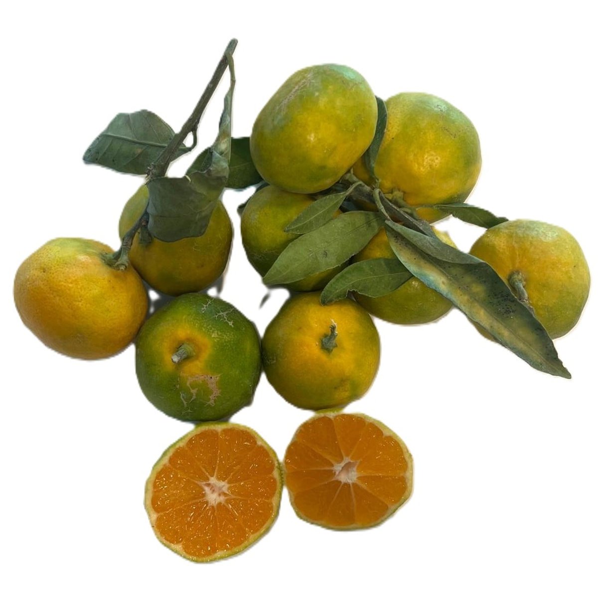Clementine verzisoare si acrisoare de sezon nou din Italia (bucata)